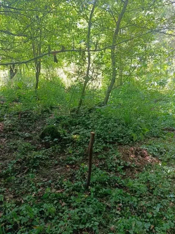 Участок в Северная Осетия, Владикавказ Горянка садовое товарищество,  ... - Фото 0