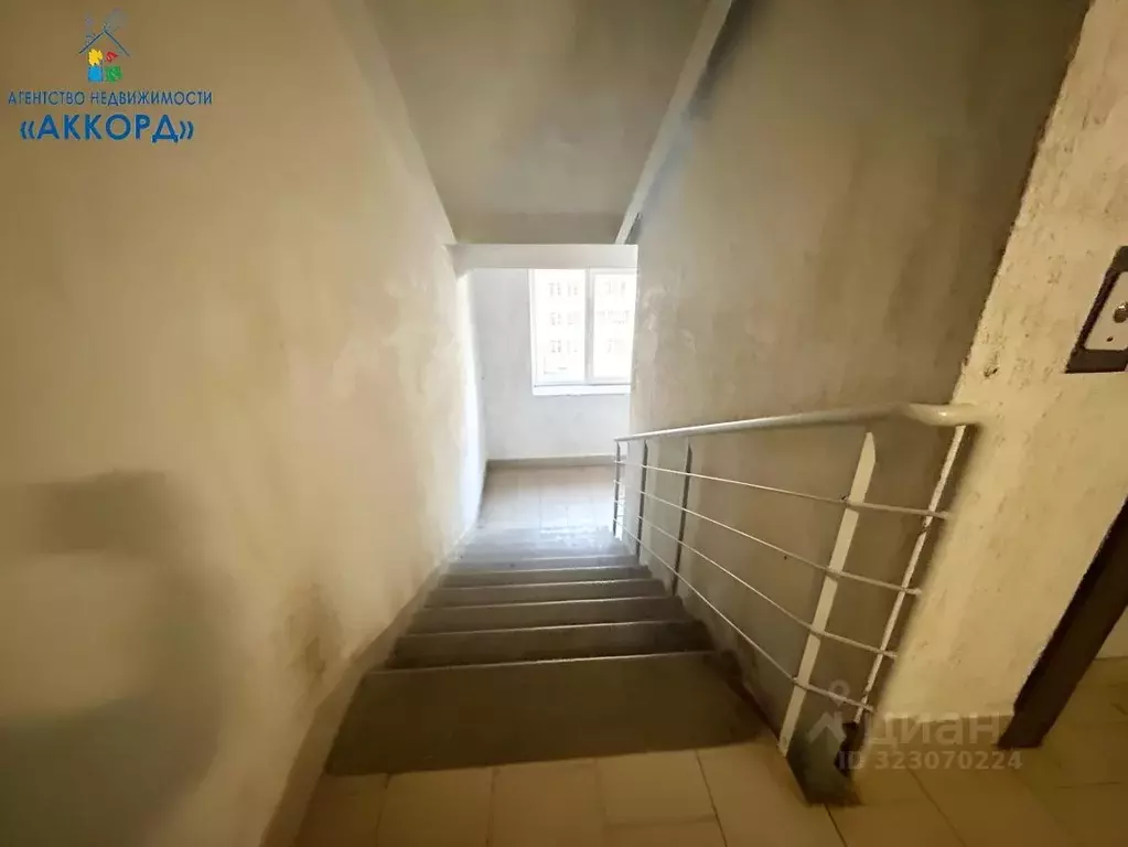 1-к кв. Алтайский край, Бийск Социалистическая ул., 22 (35.6 м) - Фото 2