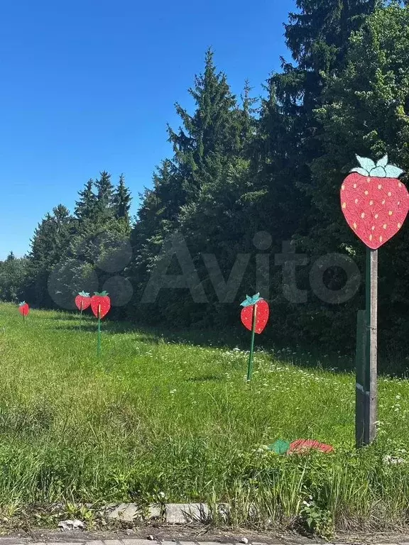 Участок 8 сот. (ИЖС) - Фото 0