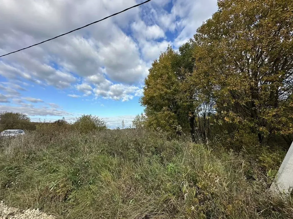 Участок в Ленинградская область, Гатчинский муниципальный округ, Тайцы ... - Фото 2