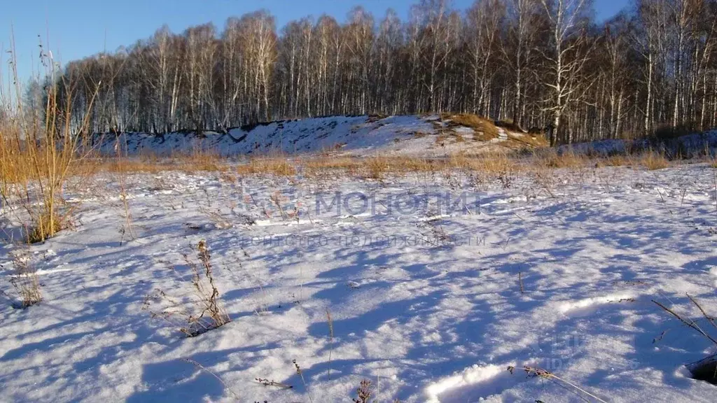 Участок в Нижегородская область, Балахнинский муниципальный округ, ... - Фото 1