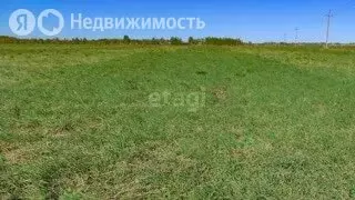 Участок в Пермский край, Осинский муниципальный округ, деревня ... - Фото 0