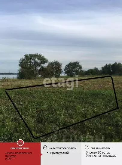 Участок в Еврейская автономная область, Смидовичский район, пос. ... - Фото 1
