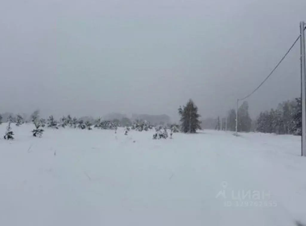 Участок в Московская область, Воскресенск городской округ, с. Осташово ... - Фото 1