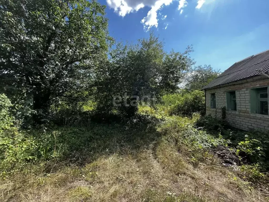 Дом в Белгородская область, Белгородский район, Северный городское ... - Фото 0