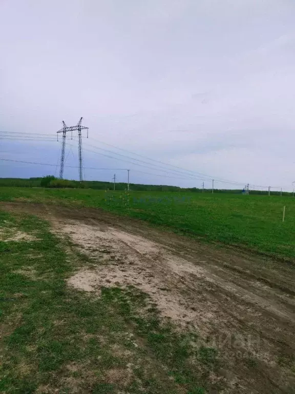Участок в Нижегородская область, Балахнинский муниципальный округ, ... - Фото 2