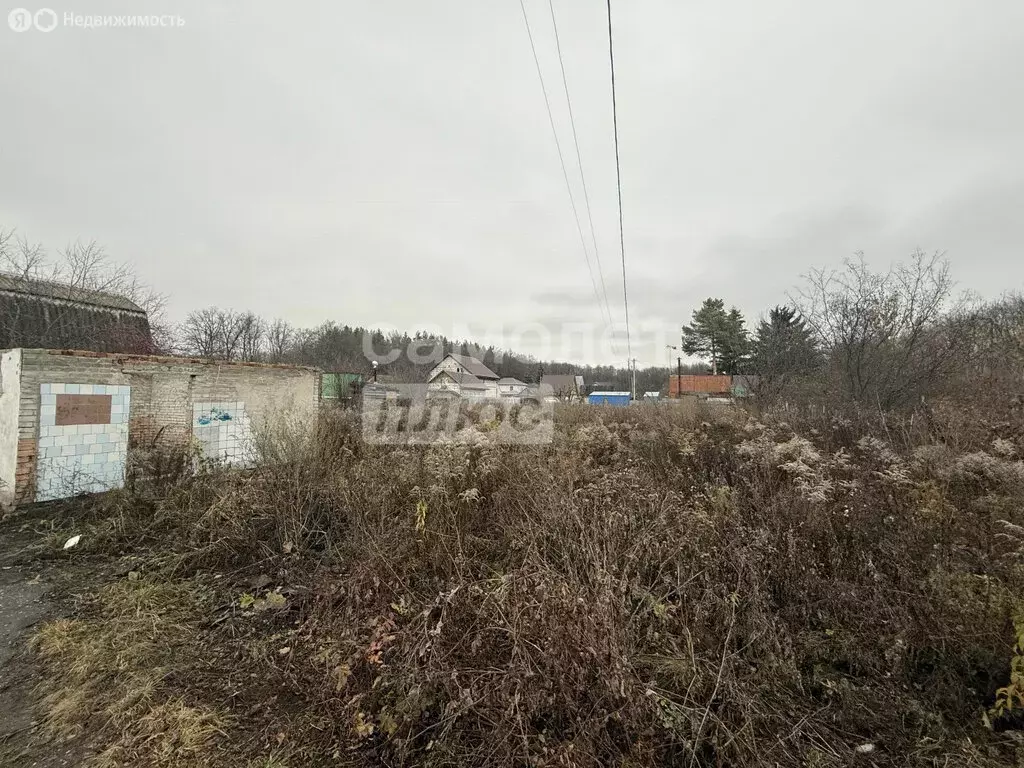 Участок в Пенза, СДТ Маяковец-2, 27 (7 м) - Фото 1