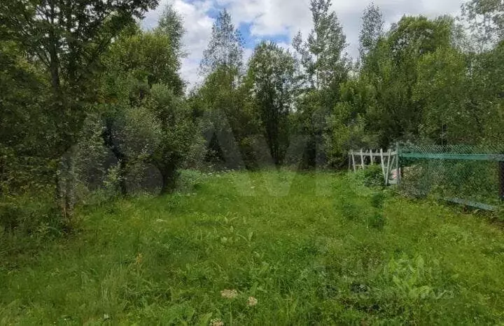 Участок в Новгородская область, Маловишерское городское поселение, д. ... - Фото 0