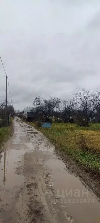 Участок в Нижегородская область, Чкаловск ул. Ломоносова (12.0 сот.) - Фото 1