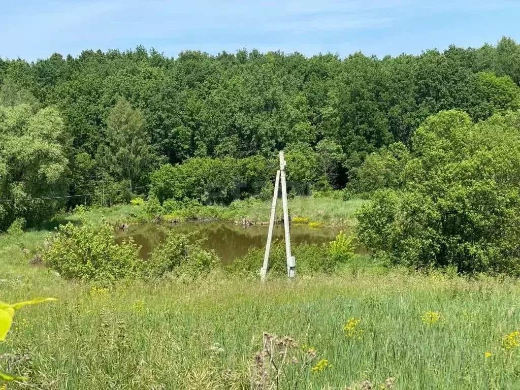 Участок в Мордовия, Кочкуровский район, д. Воробьевка Нагорная ул. ... - Фото 0