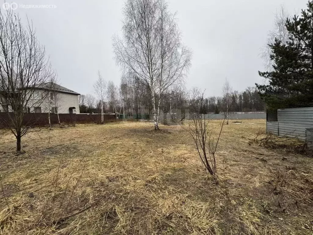 Участок в деревня Алексино, 83 (6 м) - Фото 1