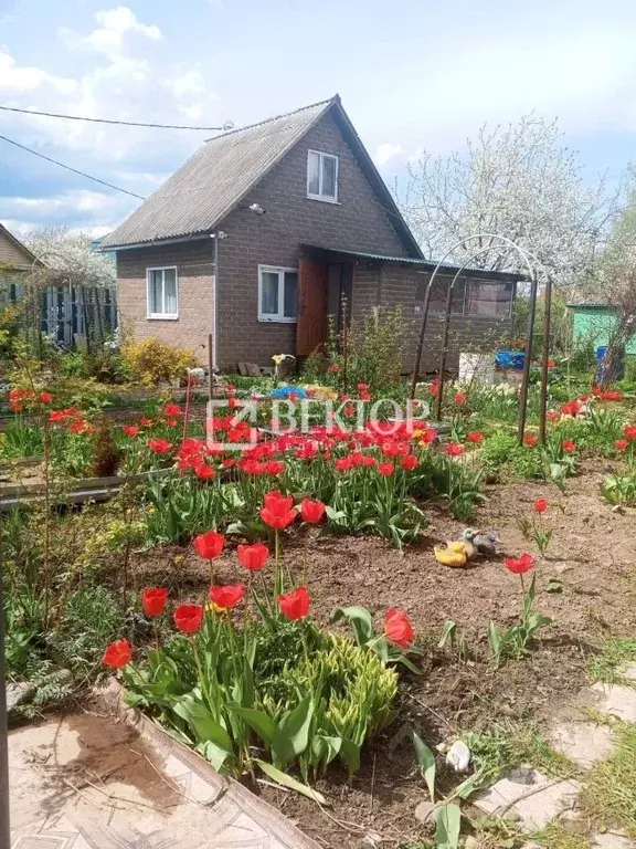 Дом в Костромская область, Кострома Южный-2 СНТ, 1 (40 м) - Фото 2