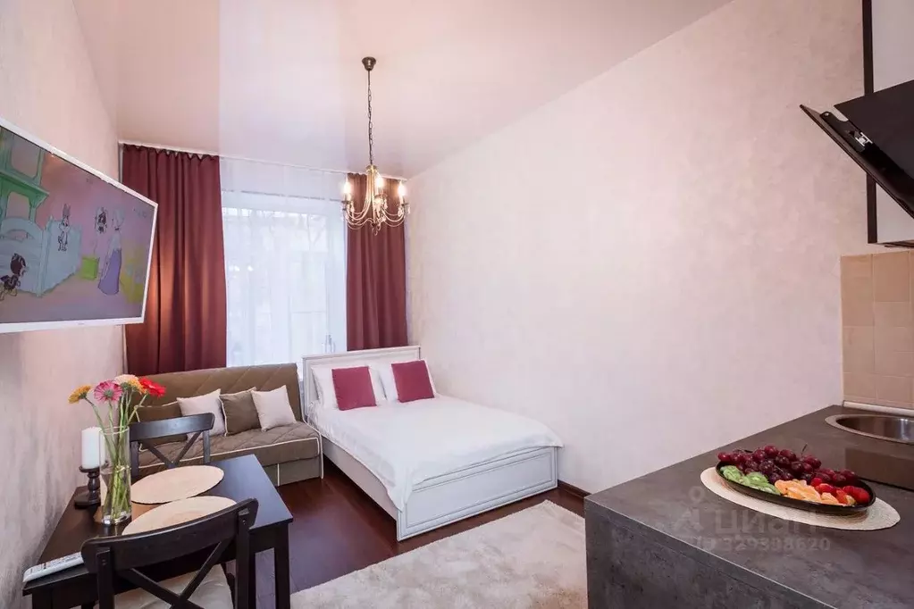 1-к кв. Санкт-Петербург Гороховая ул., 31 (25.0 м) - Фото 2