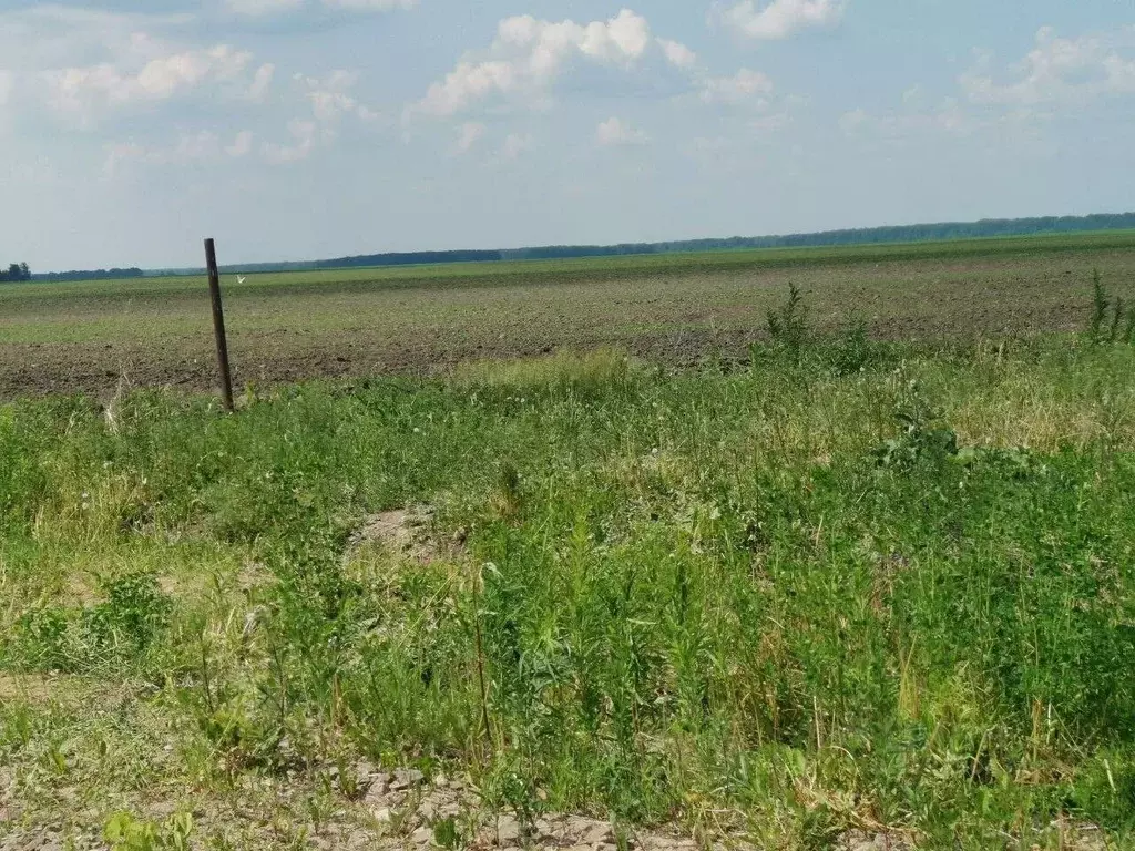 Участок в Тюменская область, Тюменский район, д. Елань  (4.19 сот.) - Фото 0