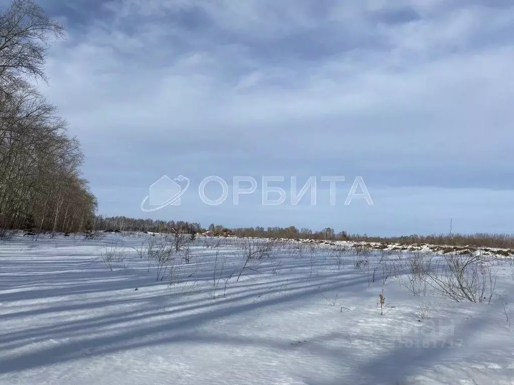 Участок в Тюменская область, Тюменский район, с. Луговое Плодовая ул. ... - Фото 1