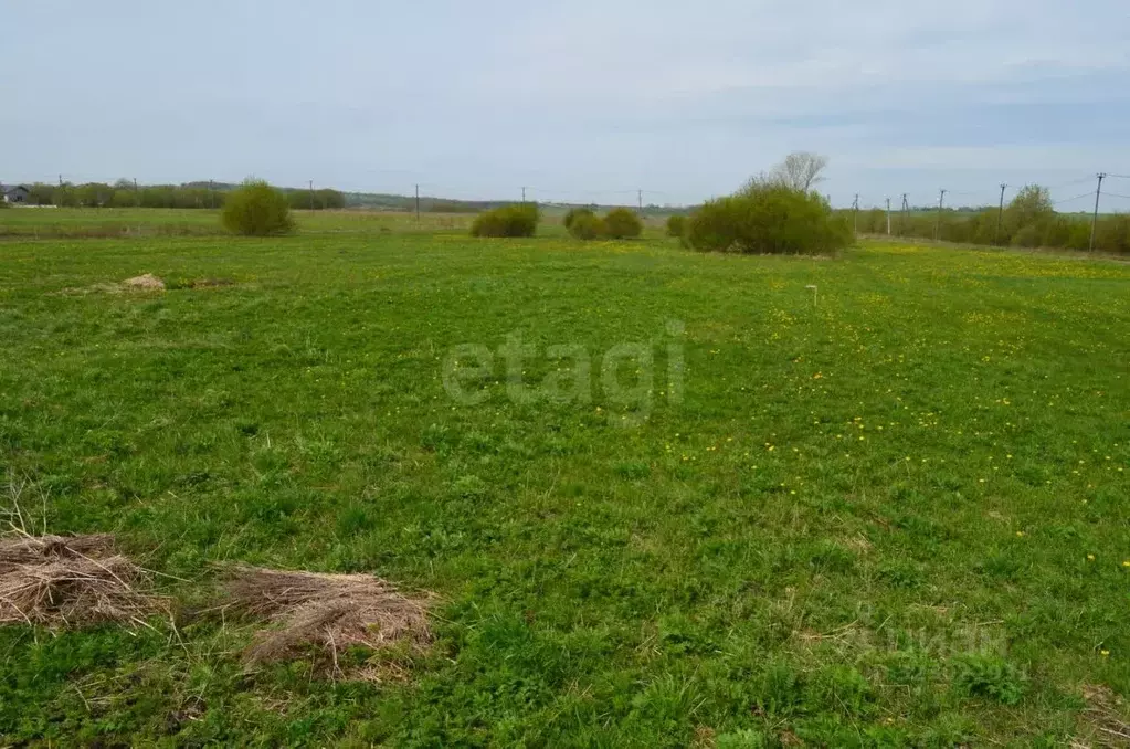 Участок в Ленинградская область, Ломоносовский район, Виллозское ... - Фото 0