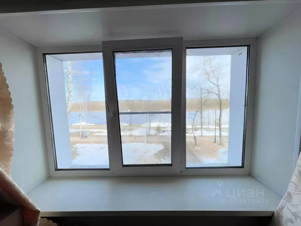 1-к кв. Кировская область, Киров ул. Тренера Пушкарева, 10 (27.3 м) - Фото 2