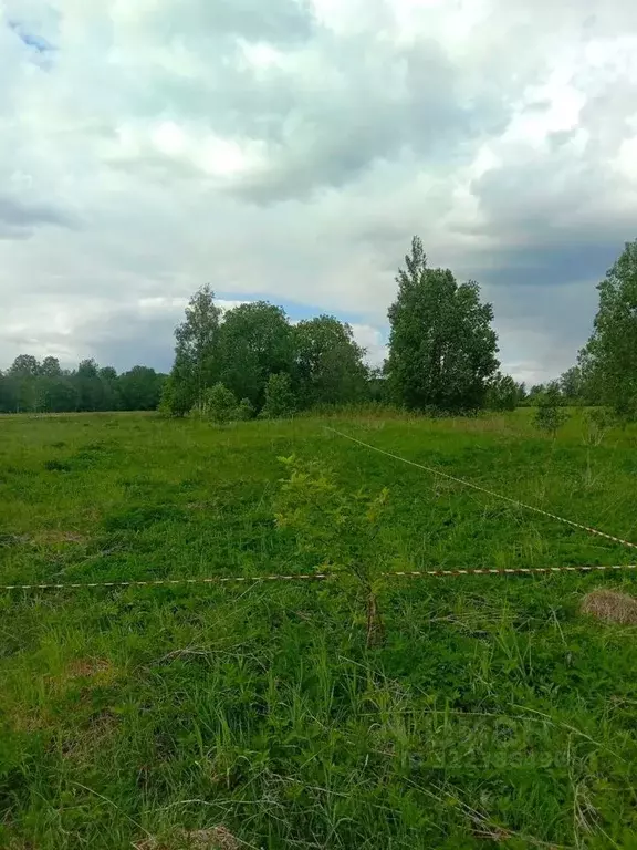 Участок в Ленинградская область, Лужский район, Дзержинское с/пос, ... - Фото 2