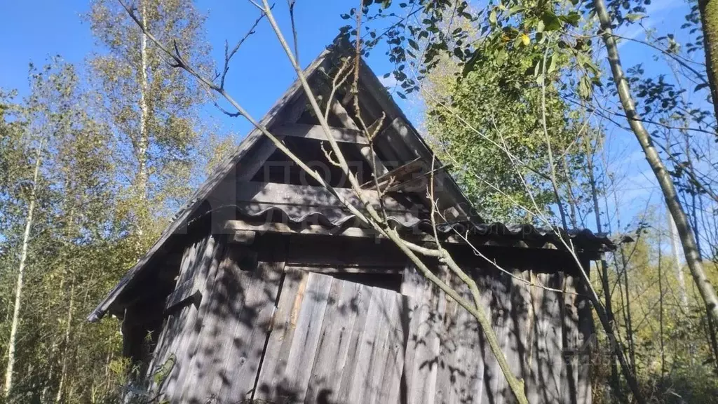 Участок в Новгородская область, Новгородский район, Ермолинское с/пос, ... - Фото 1