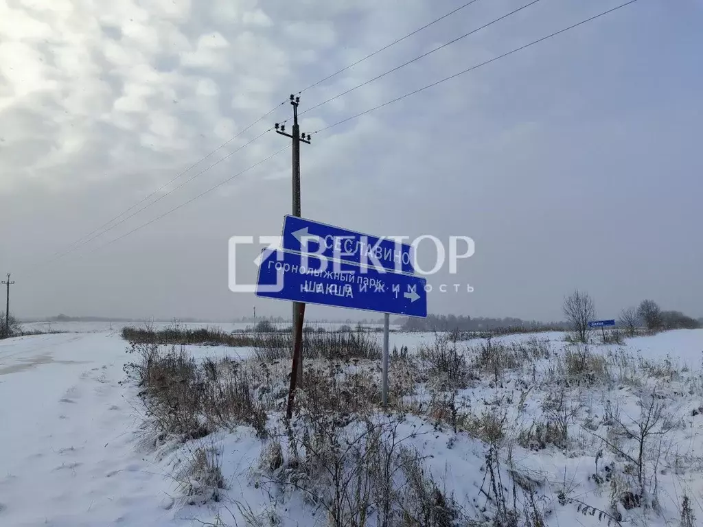 Дом в Ярославская область, Ярославский муниципальный округ, с. ... - Фото 2
