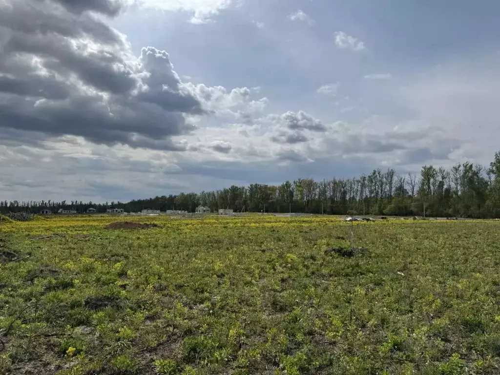 Участок в Тульская область, Тула городской округ, д. Янчерево  (5.0 ... - Фото 1