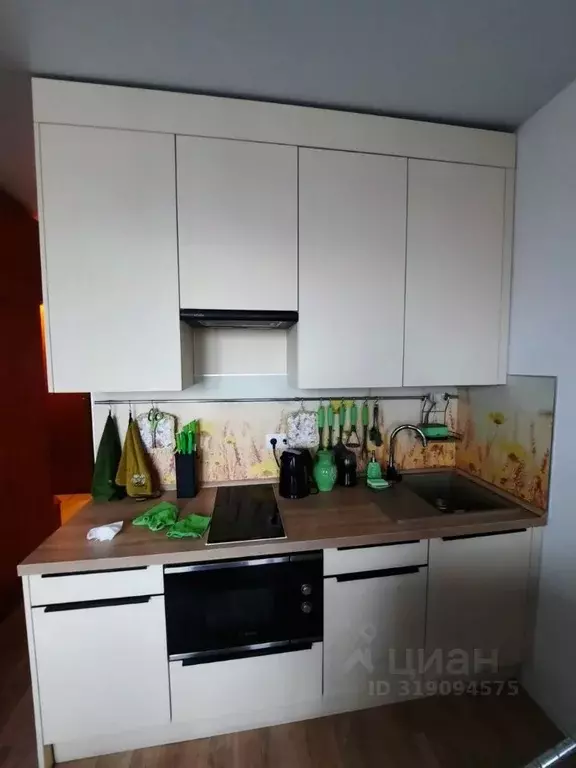 Студия Москва Цимлянская ул., 3к1 (25.0 м) - Фото 0