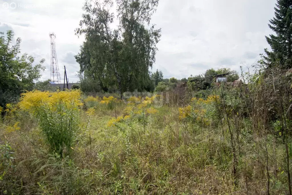 Участок в Бердск, садоводческое некоммерческое товарищество Луговое-1 ... - Фото 1