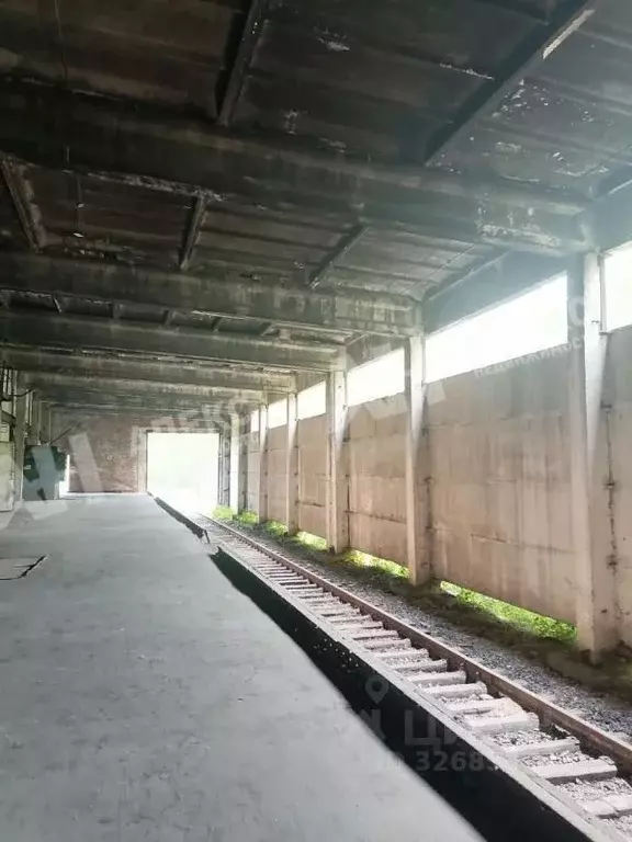 Склад в Московская область, Егорьевск ул. Промышленная, 1 (6000 м) - Фото 2