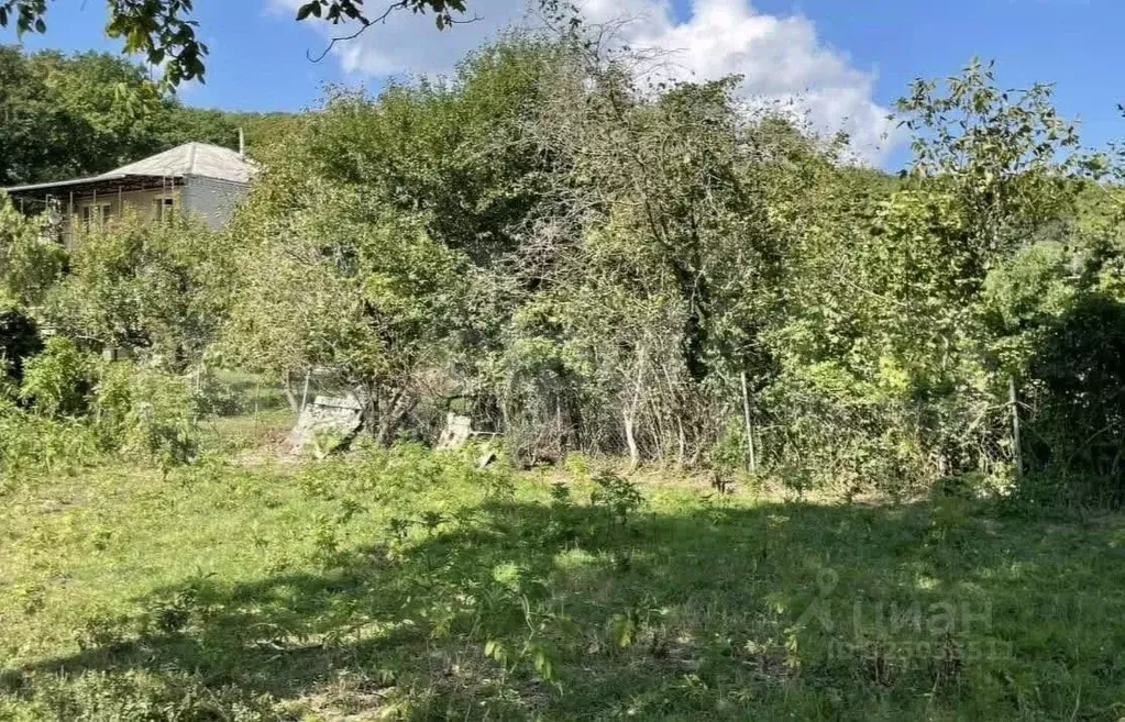 Участок в Краснодарский край, Геленджик Голубая Бухта мкр,  (43.0 ... - Фото 2