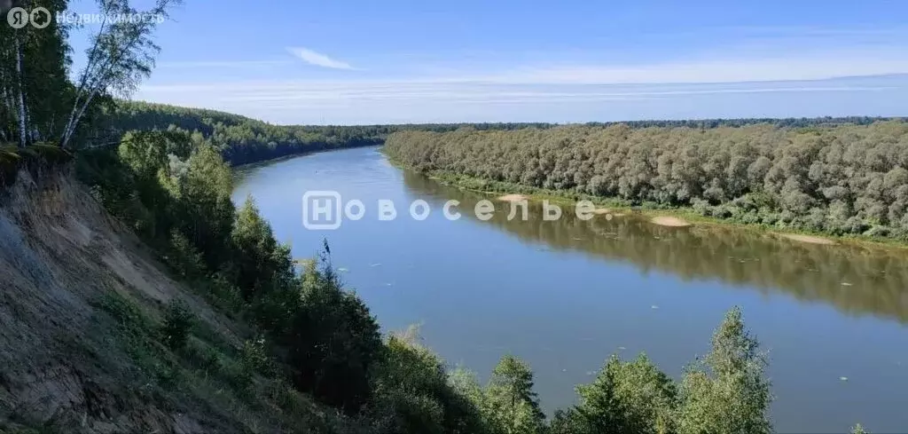 Участок в Рязанская область, Шиловский муниципальный округ, деревня ... - Фото 2