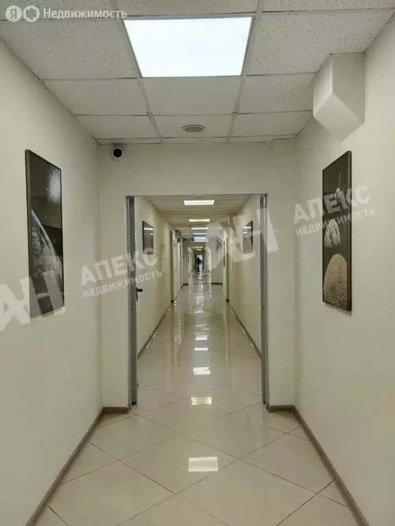 Офис (57 м) - Фото 1