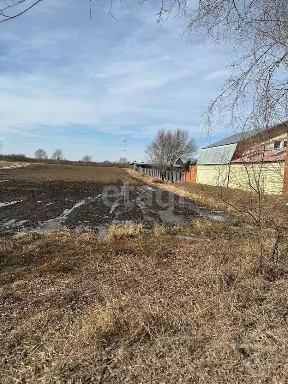 Участок в Амурская область, Благовещенский район, с. Усть-Ивановка  ... - Фото 1