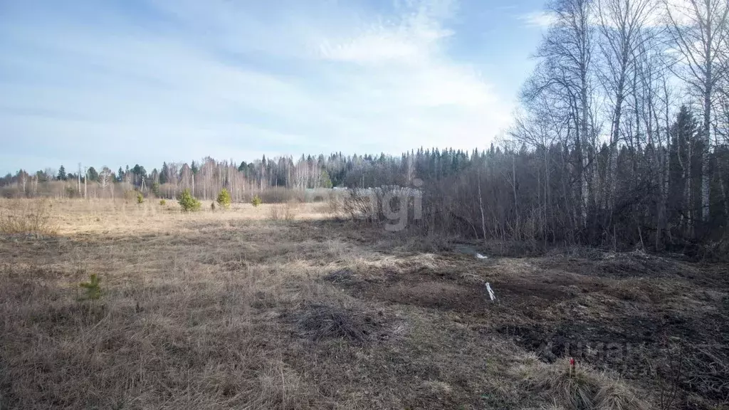 Участок в Томская область, Томский район, с. Корнилово, Красная горка ... - Фото 0