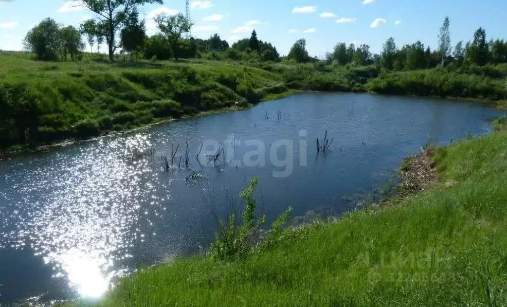 Участок в Тульская область, Заокский район, Демидовское с/пос, д. ... - Фото 1