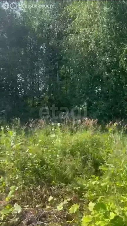 Участок в Вологда, садоводческое товарищество Чайка (14 м) - Фото 1