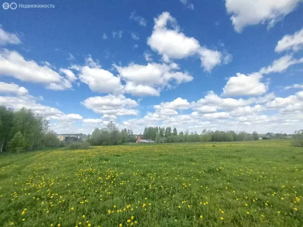 Участок в Костромская область, городской округ Шарья, деревня Корегино ... - Фото 1