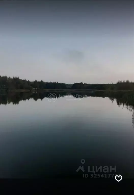 Участок в Нижегородская область, Нижний Новгород Первоцвет СНТ, 87 ... - Фото 2