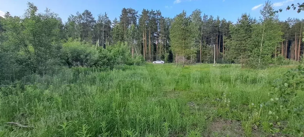 Участок 7,2 сот. (ИЖС) - Фото 1