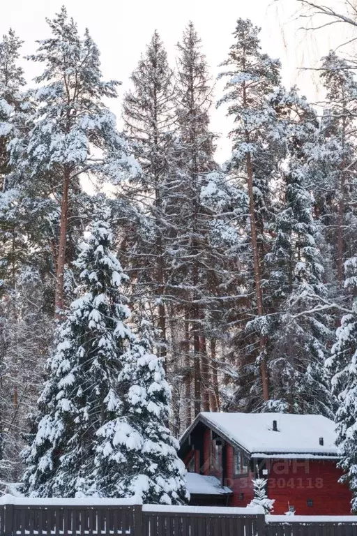 Участок в Московская область, Ступино городской округ, с. Мышенское  ... - Фото 1