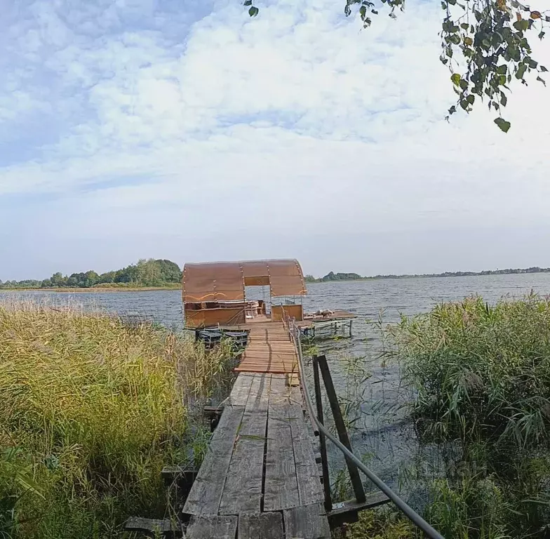 Дом в Псковская область, Новосокольнический район, Пригородная волость ... - Фото 1