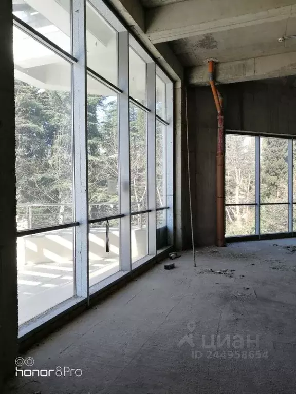 Помещение свободного назначения в Краснодарский край, Сочи Курортный ... - Фото 2