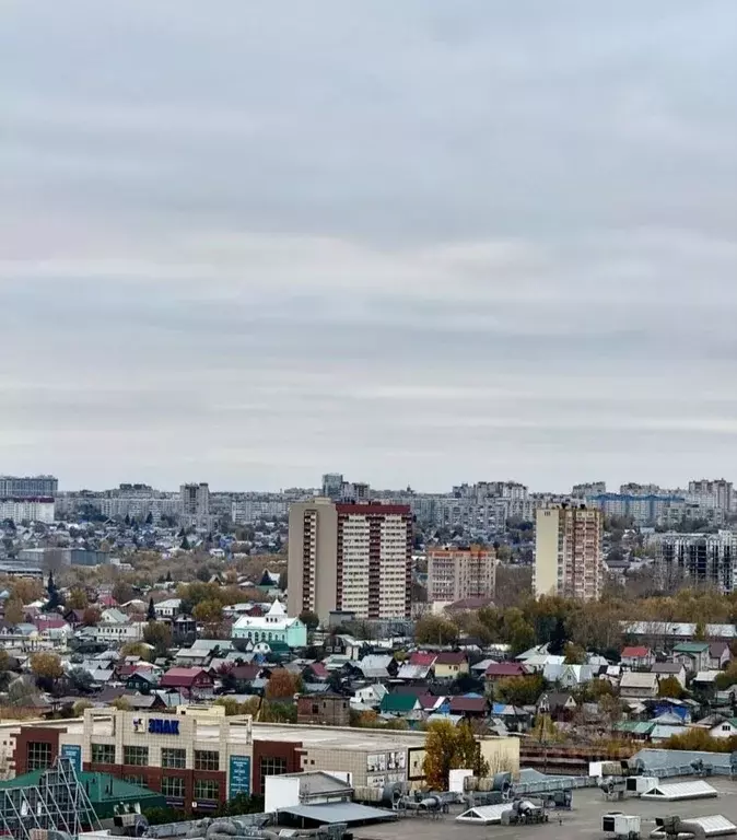 Студия Алтайский край, Барнаул ул. Советской Армии, 71 (30.0 м) - Фото 2
