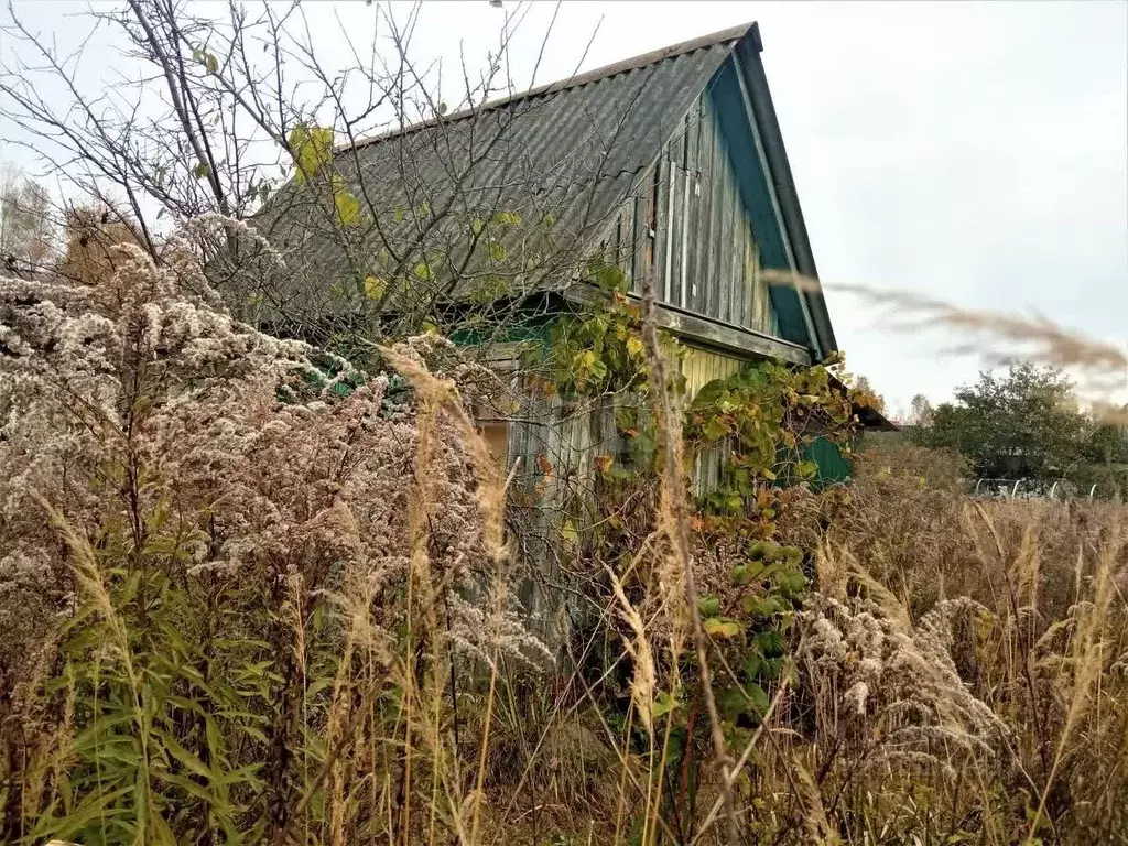 Дом в Брянская область, Брянский район, Нетьинское с/пос, Юбилейное ... - Фото 2