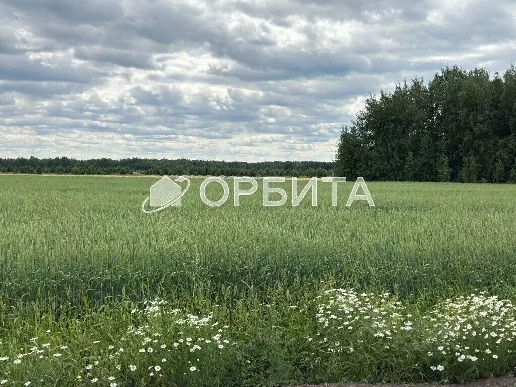 Участок в Тюменская область, Тюменский район, с. Щербак  (5.0 сот.) - Фото 0