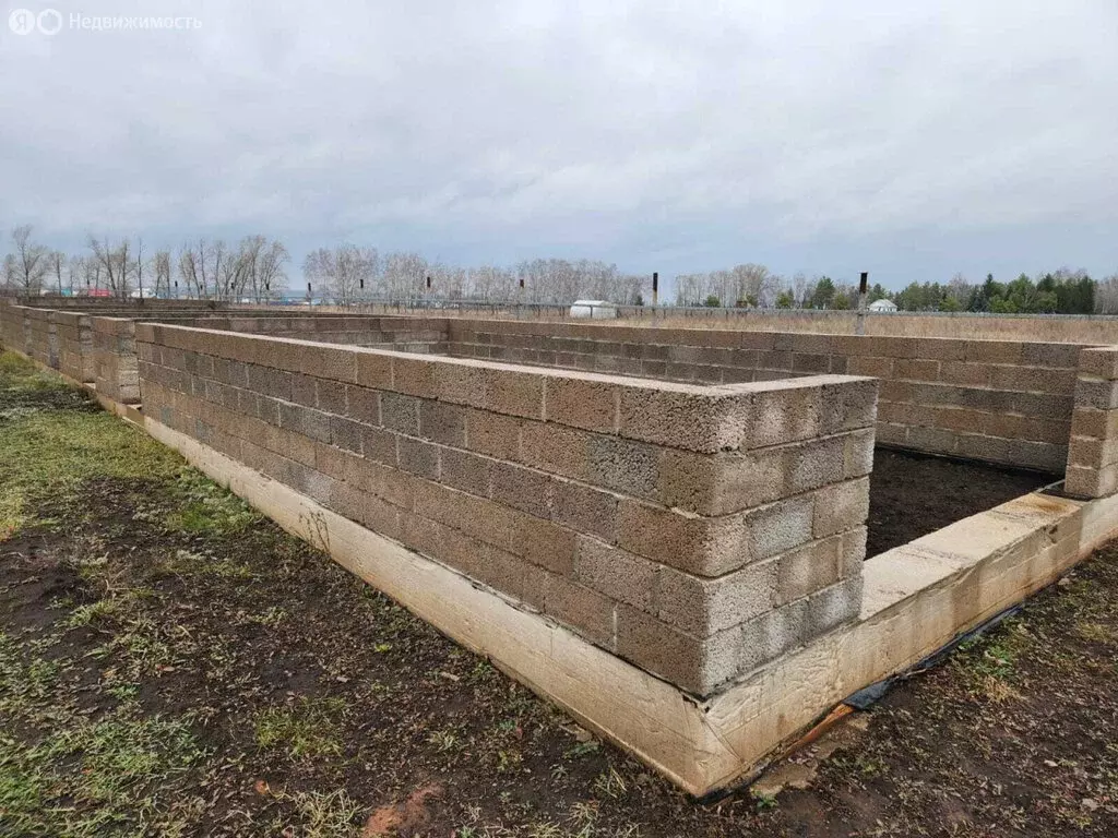 Участок в Туймазинский район, Ильчимбетовский сельсовет, село Япрыково ... - Фото 1