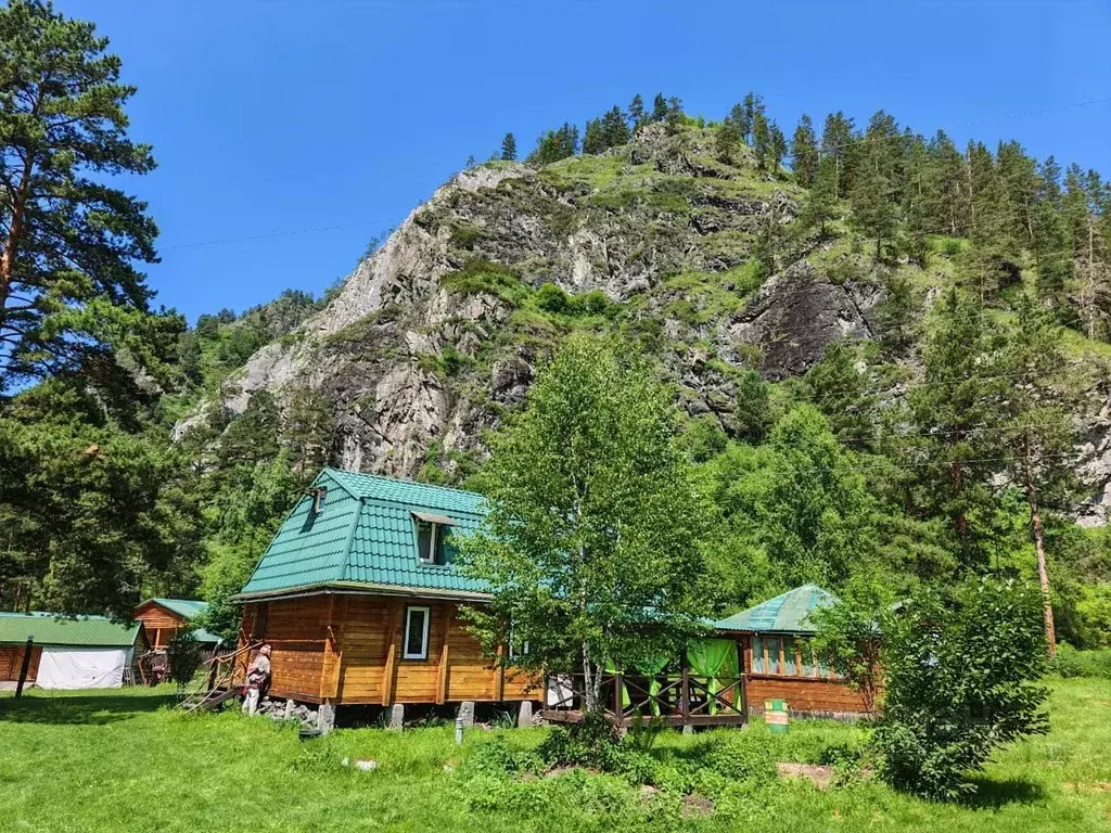 Участок в Алтай, Чемальский район, Чепошское с/пос  (67.29 сот.) - Фото 1