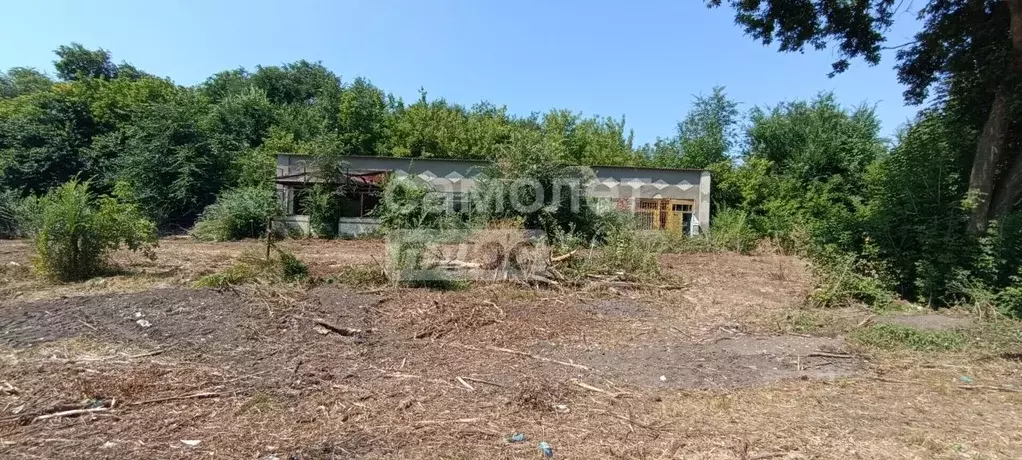 Помещение свободного назначения в Воронежская область, Новоусманский ... - Фото 1