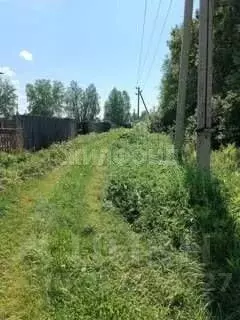 Участок в Томская область, Томский район, д. Барабинка Кедровая ул. ... - Фото 0