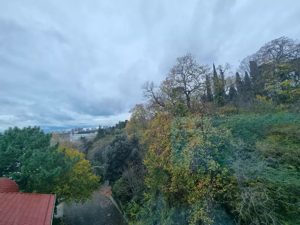 2-к кв. Краснодарский край, Сочи Курортный просп., 95/53 (45.0 м) - Фото 1