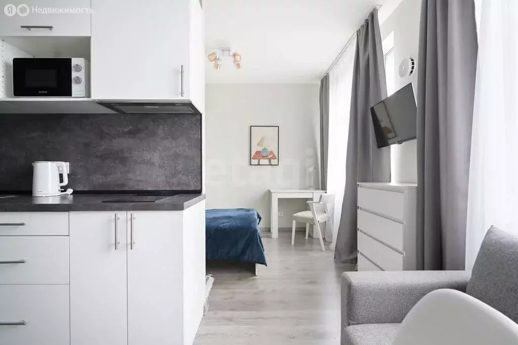 Квартира-студия: Санкт-Петербург, Витебский проспект, 99к1 (26.7 м) - Фото 2